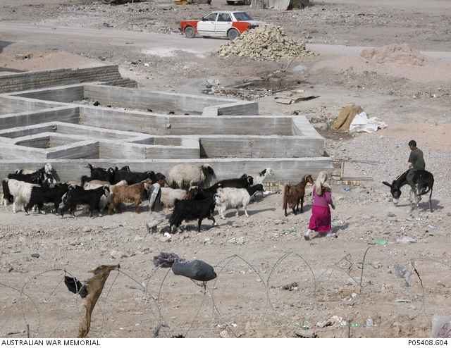 A young Iraqi girl and two boys, one of whom is riding a donkey, herd ...