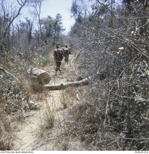 On patrol close to base | Australian War Memorial
