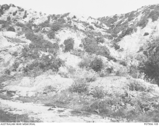 A view from Monash Gully looking east at the heights of Pope's Hill on