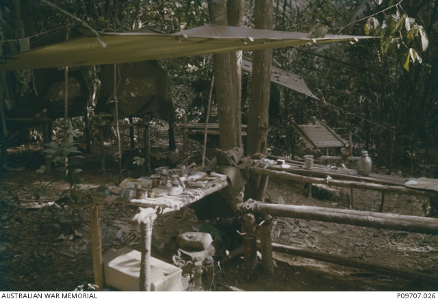 Ist Das Jungle Camp Wirklich In Australien A jungle camp of 11 Platoon, D Company, 2nd Battalion, The Royal