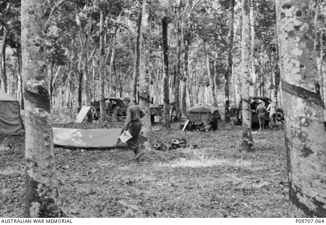 The 6th Battalion, The Royal Australian Regiment (6RAR) establishes a ...