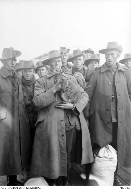 Josiah Barnes collection of First World War negatives and prints ...