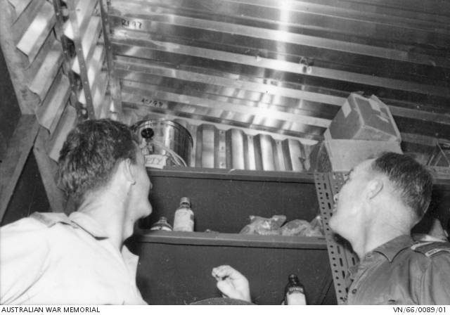 The Commanding Officer RAAF Contingent Vung Tau, 33113 Group Captain ...