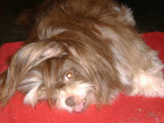 Dscf1204