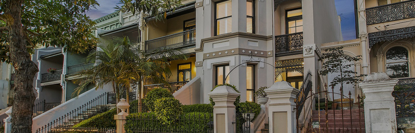 Spotlight On: Paddington