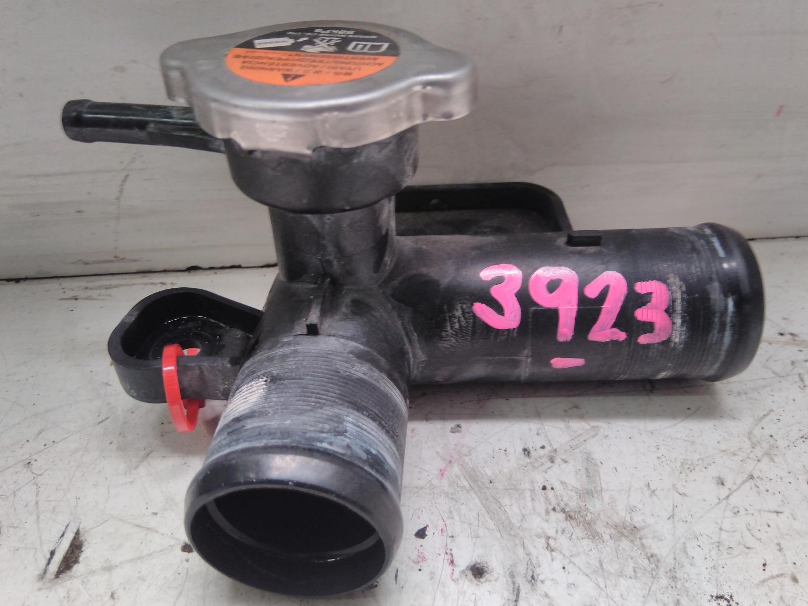 View Auto part Water Pipes/Outlets Nissan Pulsar 2015