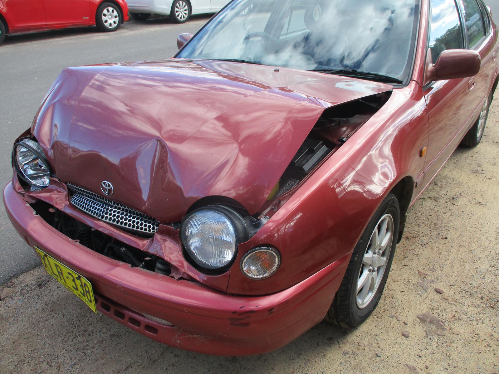 Pwr Dr Wind Switch Corolla Toyota 1998