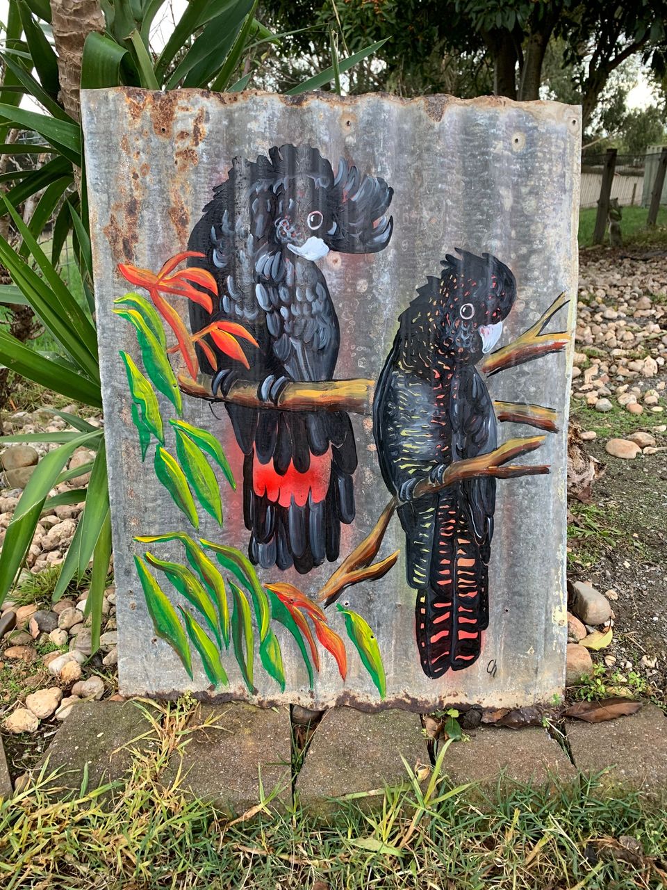Corrugated Iron Painting Black Cockatoos by Colleen Herbert Art in