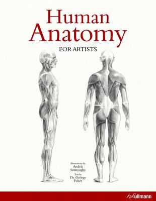 Human Anatomy For Artists