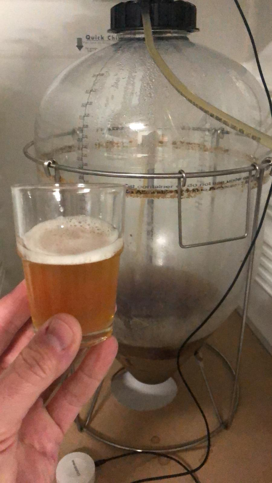 Brew # 16 - Australian Sparkling Ale Mk II