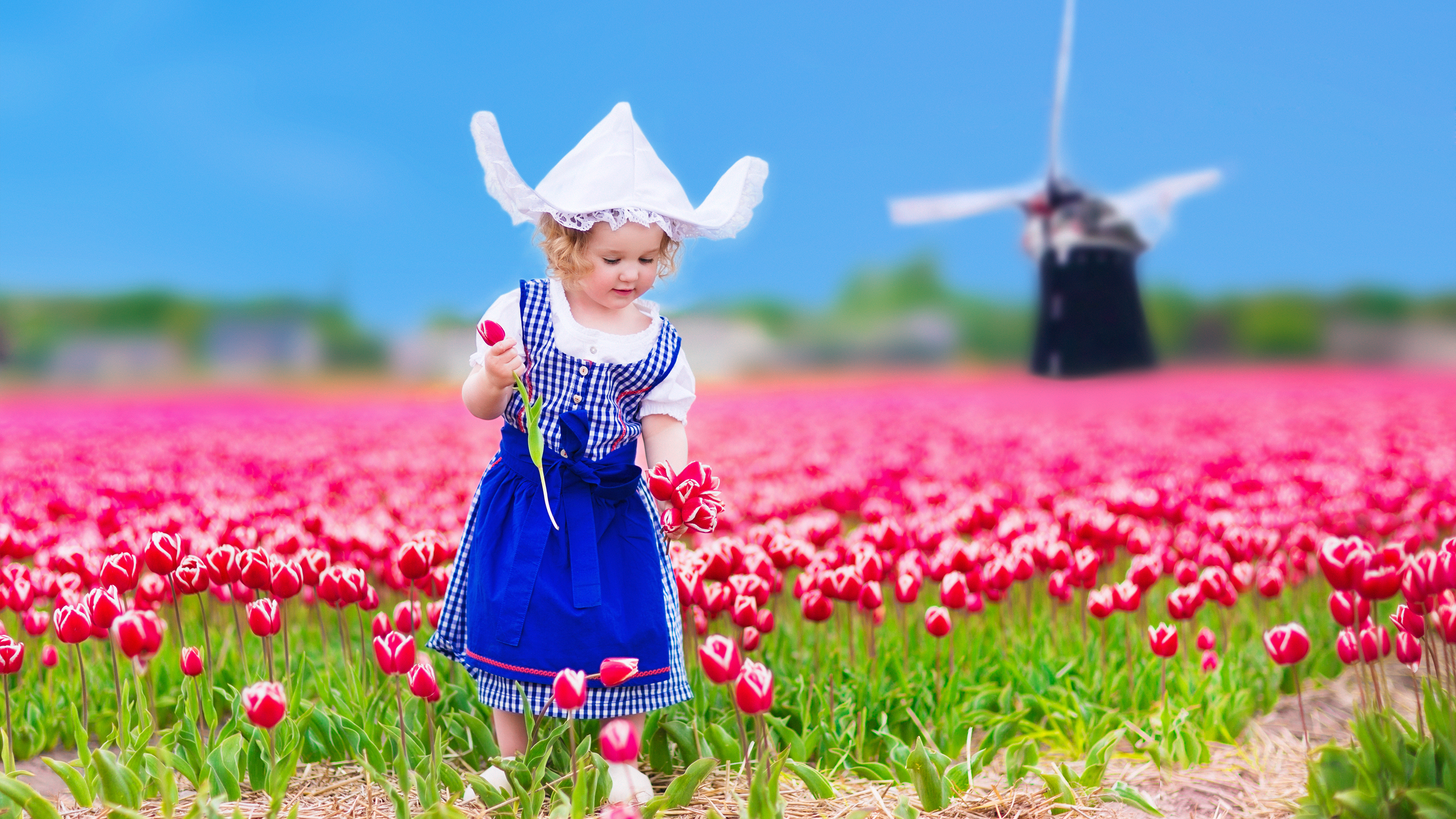 Dutch Language Courses in Melbourne CAE Dutch Language Courses in Melbourne CAE