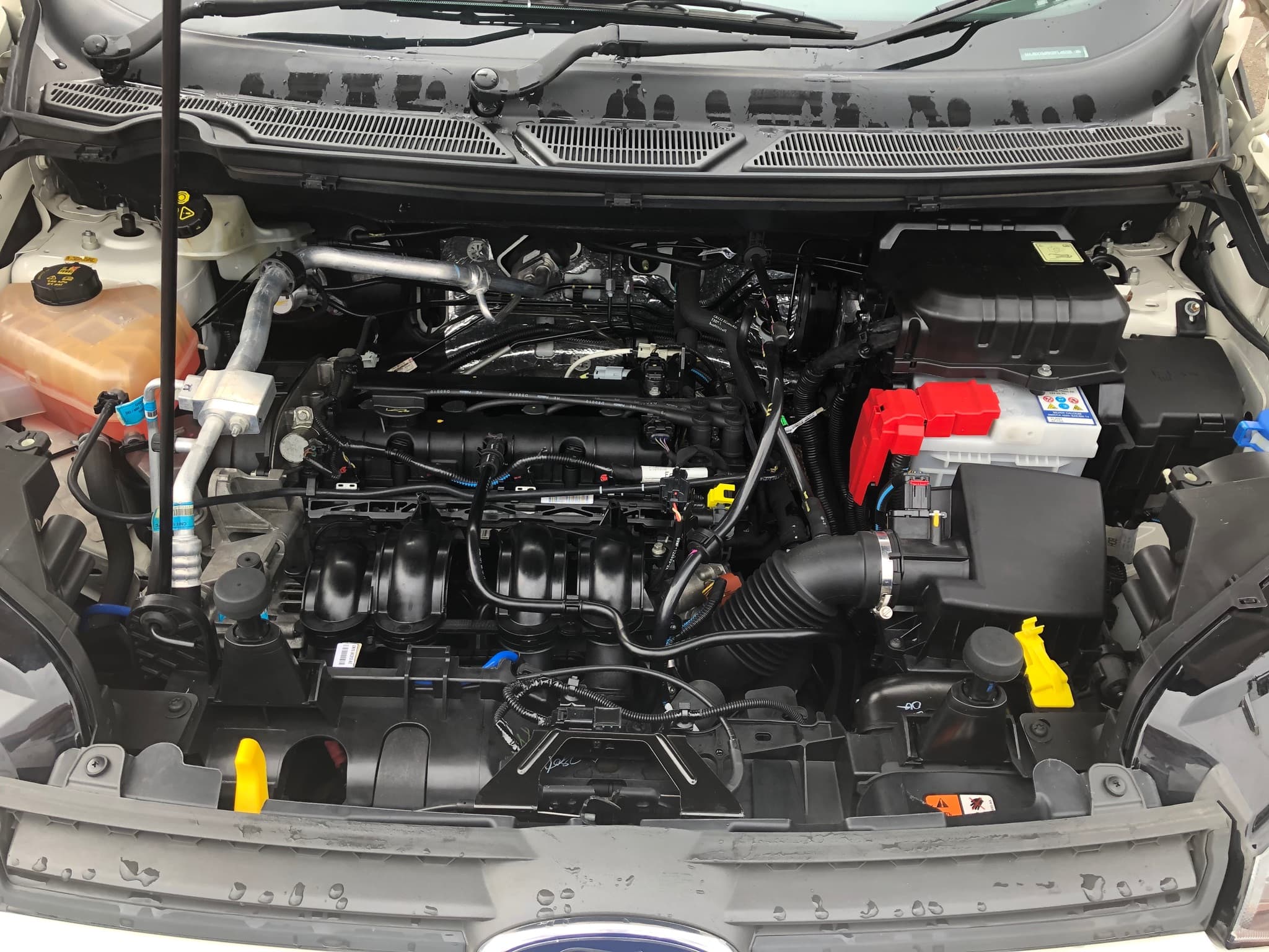 2015 Ford EcoSport Trend BK Manual Car Subscription