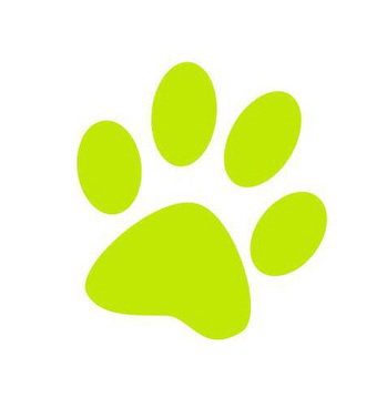 Budget Pet Products