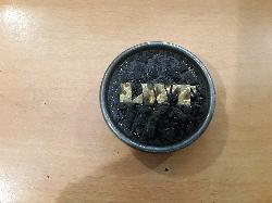 View Auto part Wheel Cover/Hub Cap Holden Commodore 2002