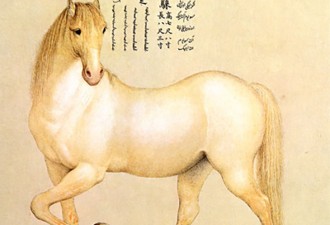 Castiglione Detail Yellow Horse