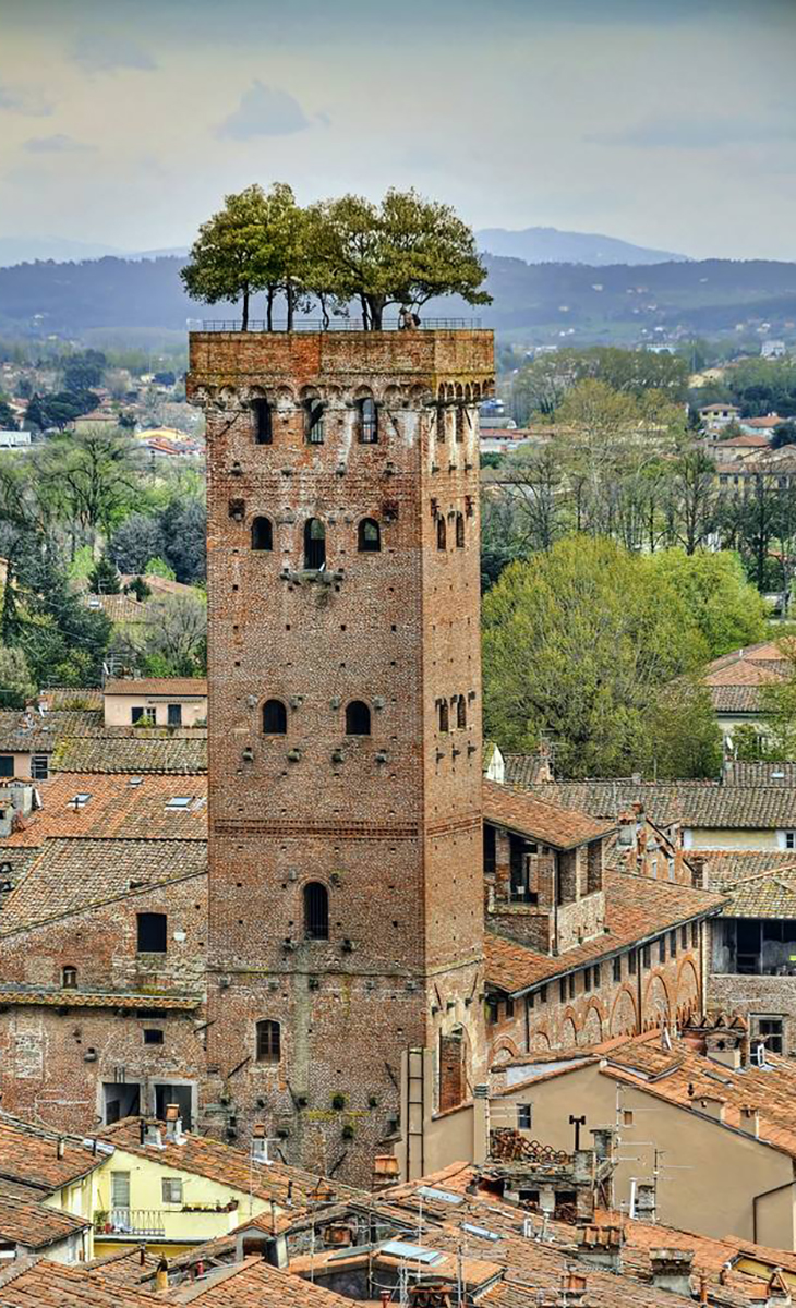 Tower in Lucca, Italy