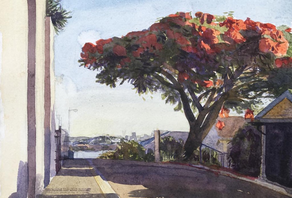 Henderson POinciana