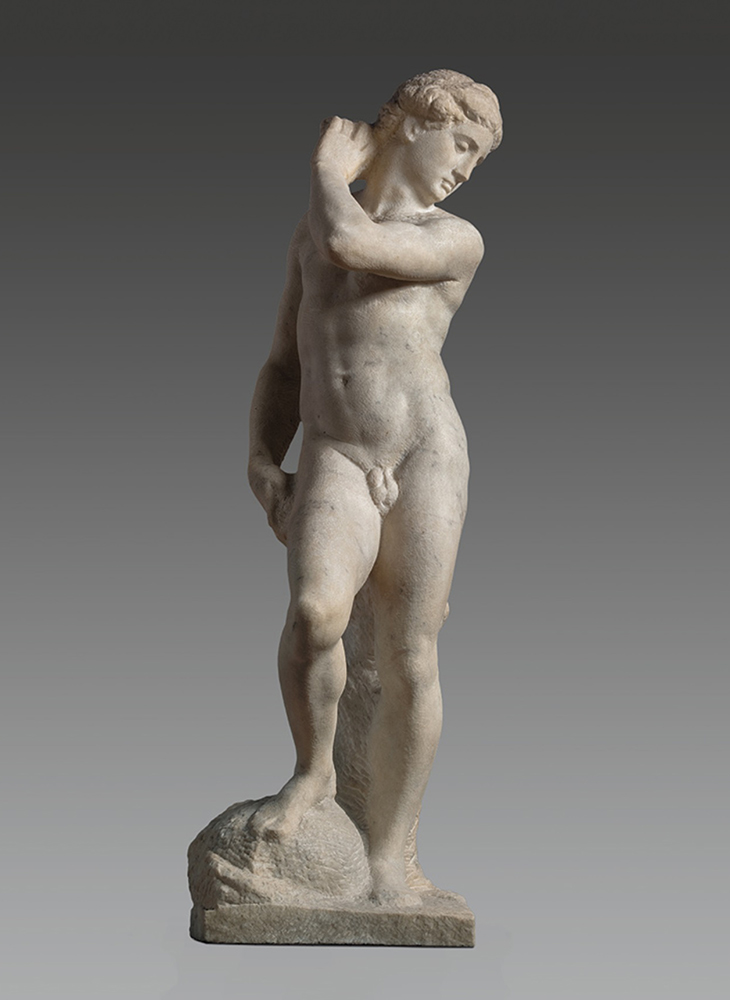 Michelangelo_David-Apollo