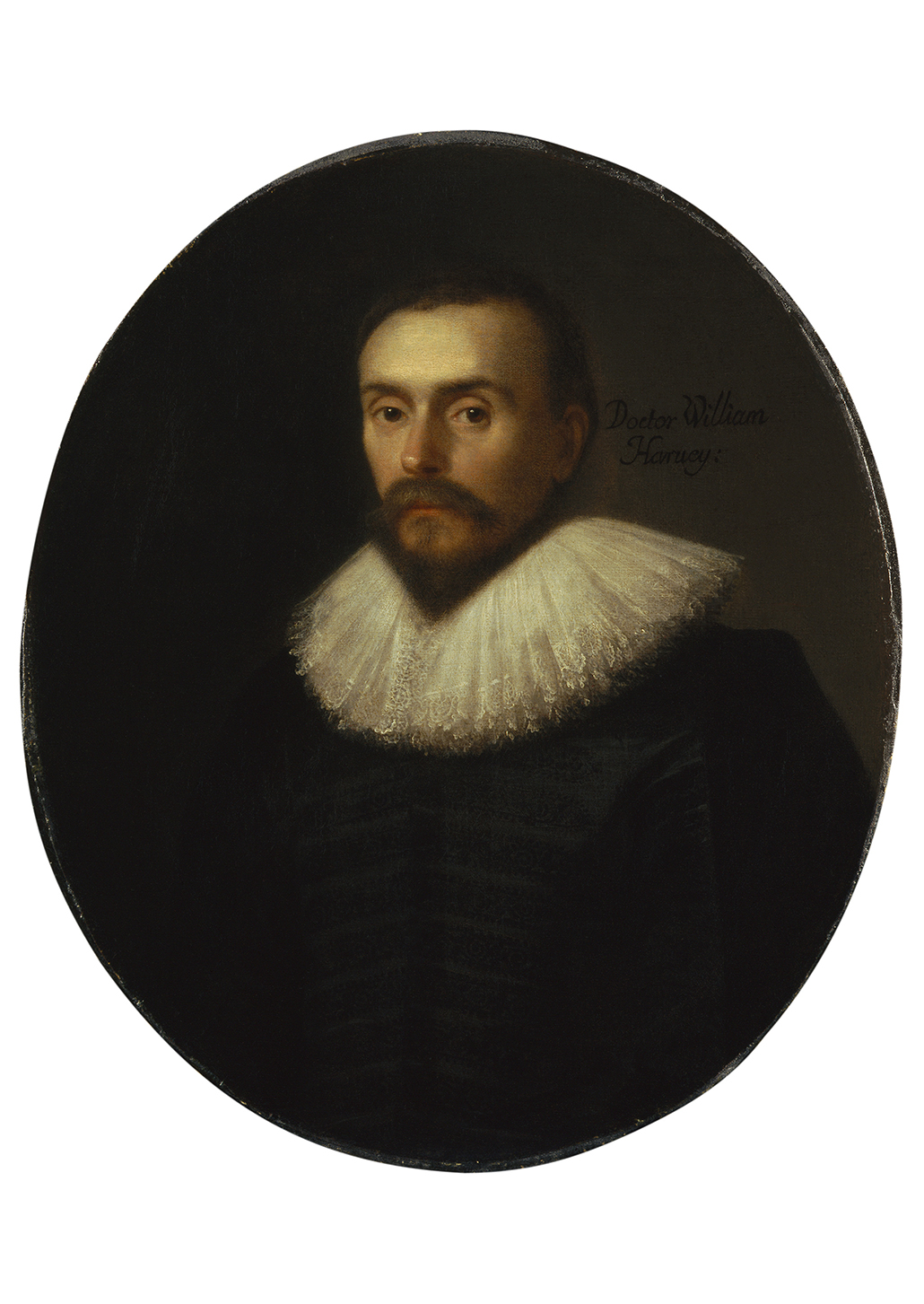 William Harvey by Daniel Mijtens courtesy ©National Portrait Gallery