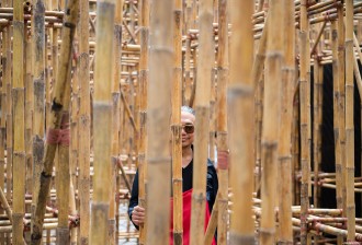 Bamboo Maze 8