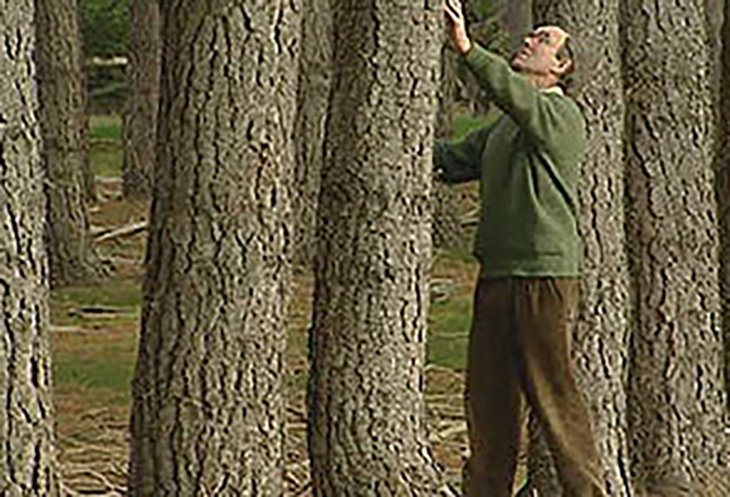 Trees Lanark