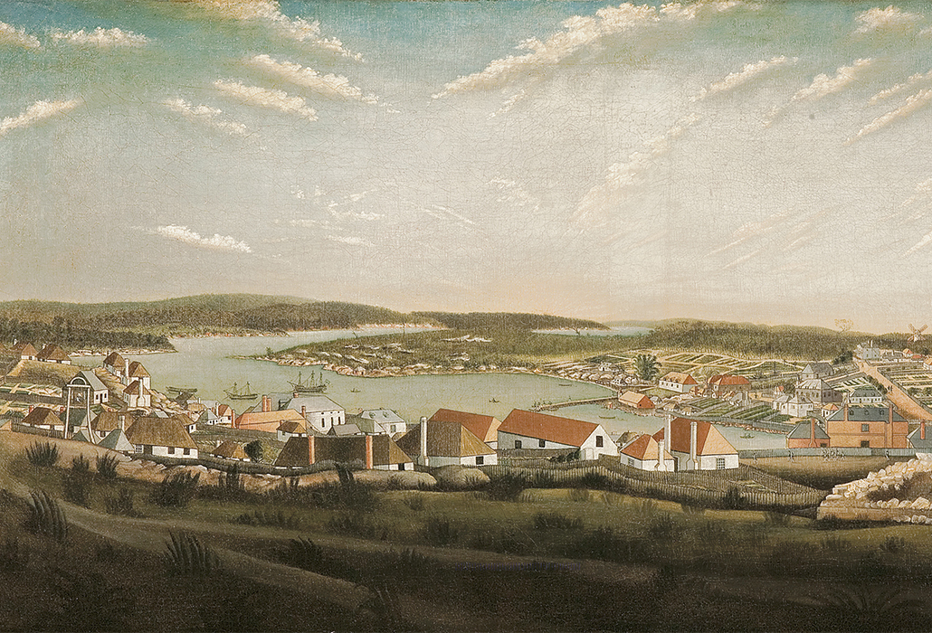 Colony 8