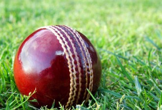 Cricket 2