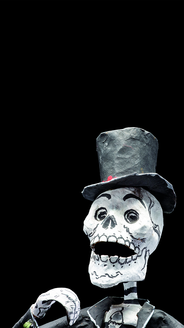 Day of Dead Figure 2