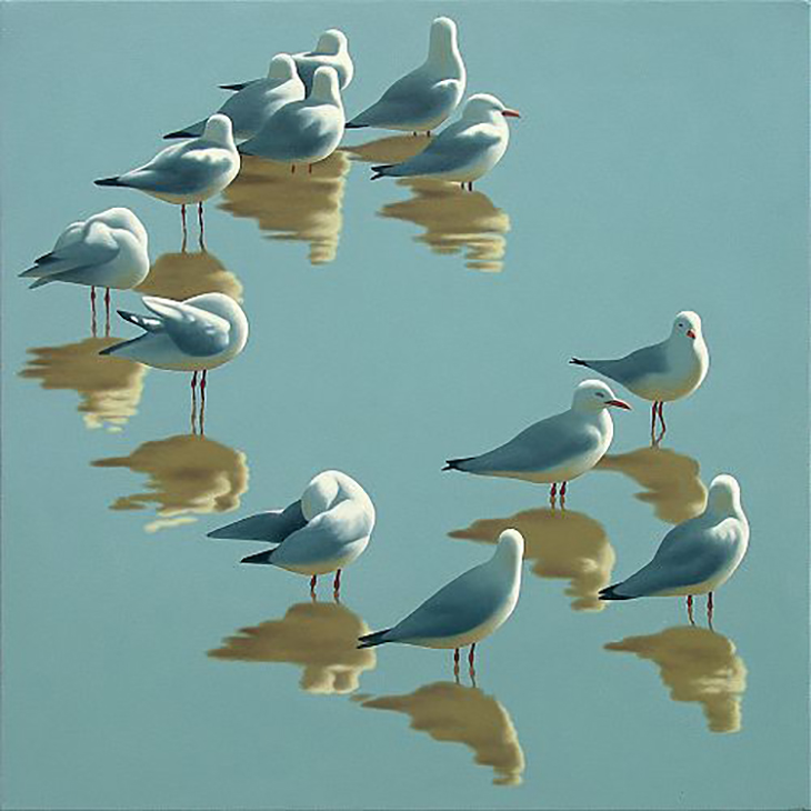 Cockatoos Guy Gilmour
