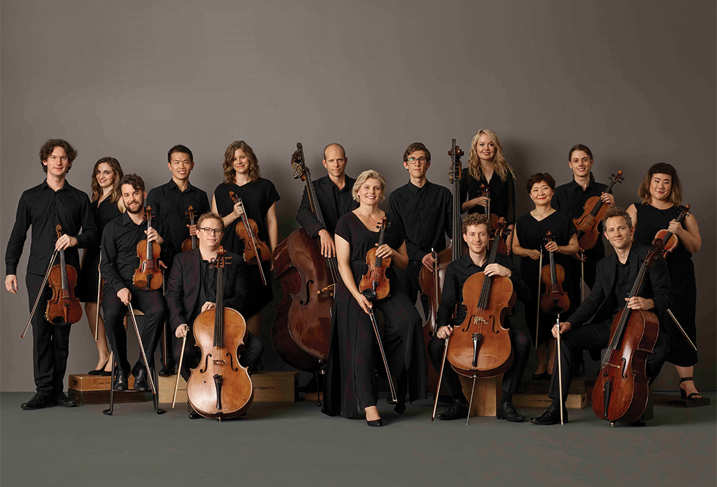 ACO Collective, 2018