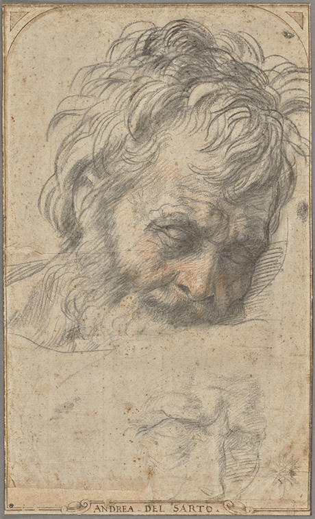 Study for the Head of Saint Joseph (recto); Two Studies of Legs (verso); Andrea del Sarto (Italian, 1486 - 1530); Florence, Italy; about 1526–1527; Red and black chalks (recto); red chalk (verso); 37.5 × 22.6 cm (14 3/4 × 8 7/8 in.); 2017.73 courtesy The Getty Museum, Getty Center, Los Angeles