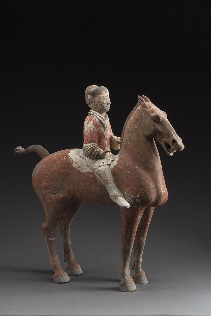 Chinese Horseman