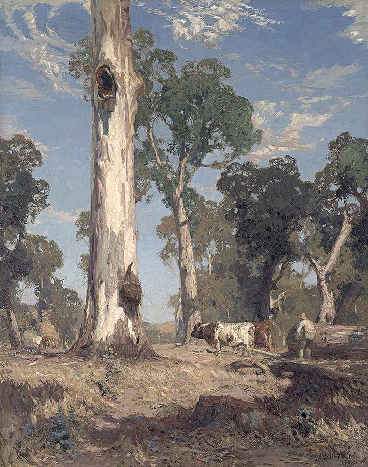 Hans Heysen Eucalypt