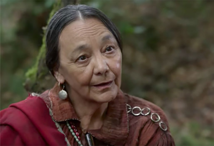 Cherokee Healer