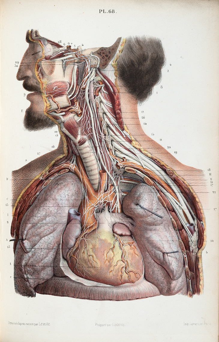 RCP 04