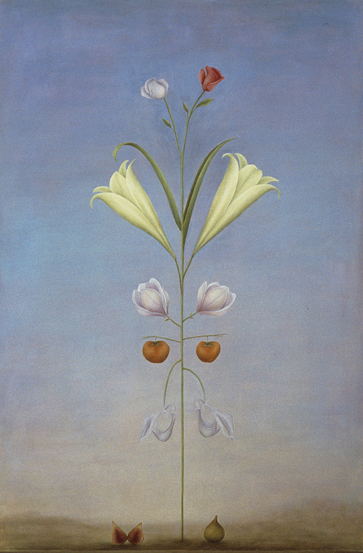 Rosslynd Piggott, Most beautiful plant 1989 oil on linen 183.0 x 121.5cm © The artist Photo: courtesy the artist