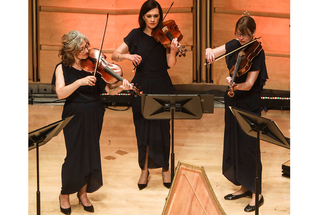 Trio of Violas aBO