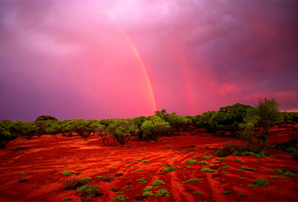 Joyce Evans; Tallaringa Springs Rainbow,