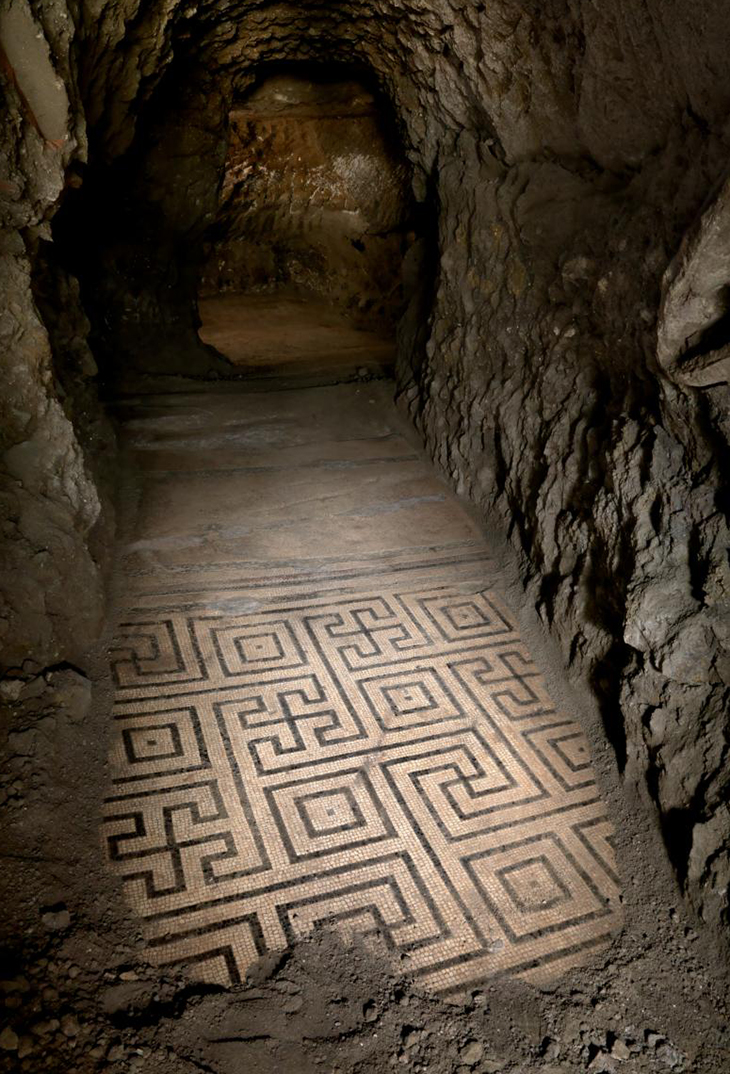 Mosaic Floor Emerging Herculaneum