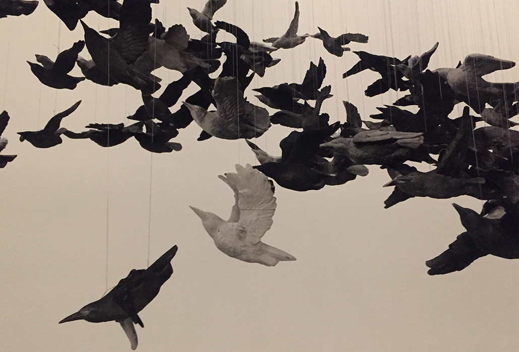 Birds 1