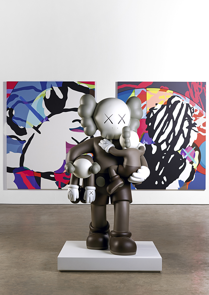 Kaws 3