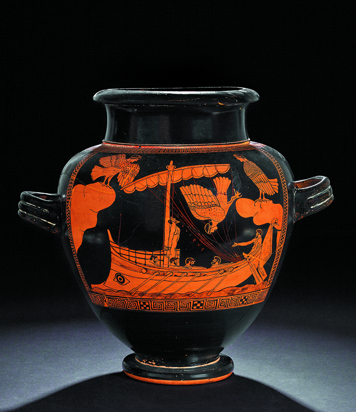 Black Figure Vase Troy