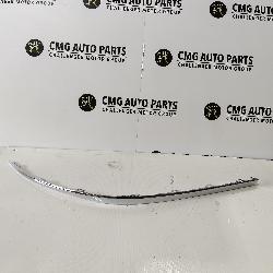 View Auto part Body/Door Mould Volkswagen Passat 2015