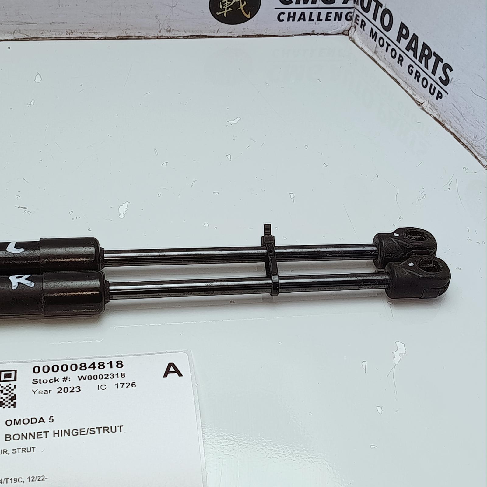 View Auto part Bonnet Hinge/Strut Chery Omoda 5 2023