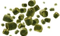 Cryo Pop: a ‘paradigm shift in brewer thought’ 1220923686