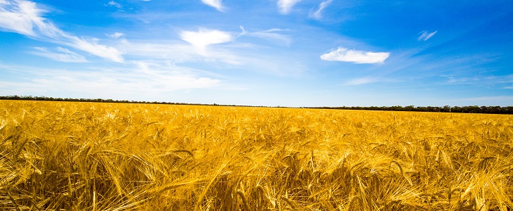 Malt: ‘the next big thing’ in beer Hero 2
