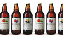 Rekorderlig celebrates partnership with cca Rekorderlig-Bottles2
