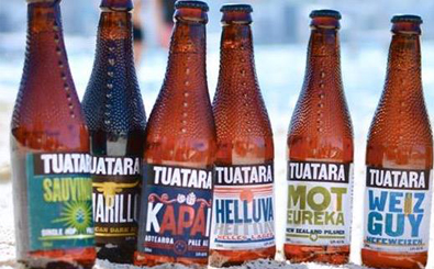 DB Brewery buys New Zealand craft brewer Tuatara Tuatara