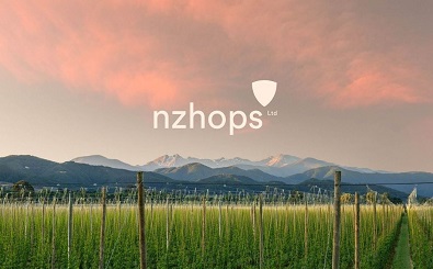 NZ Hops announce new appointments to board NZ Hops