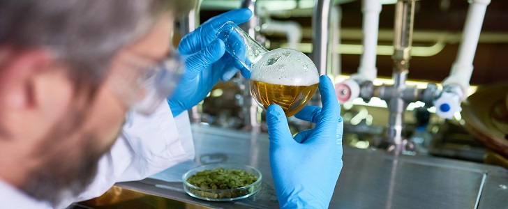 ABC seeking brewing beginners for TV show 917832586